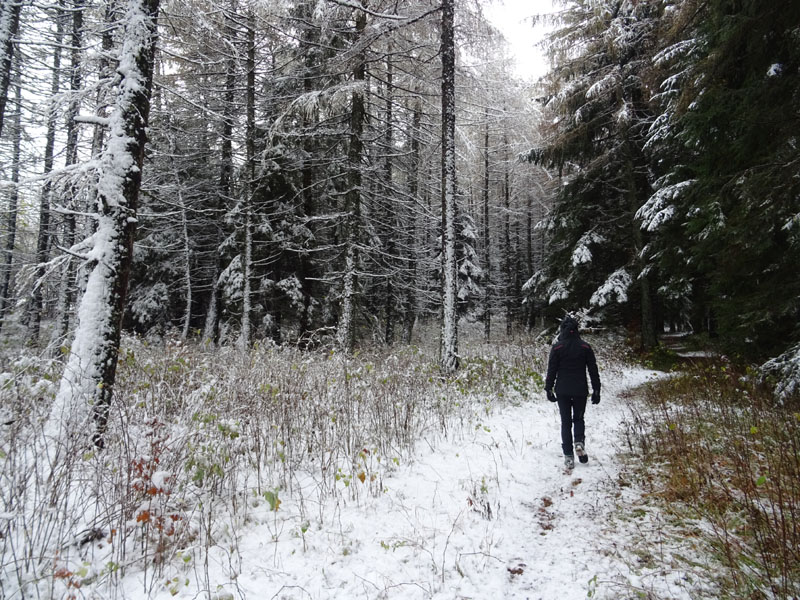 prime escursioni sulla neve....autunno  2019